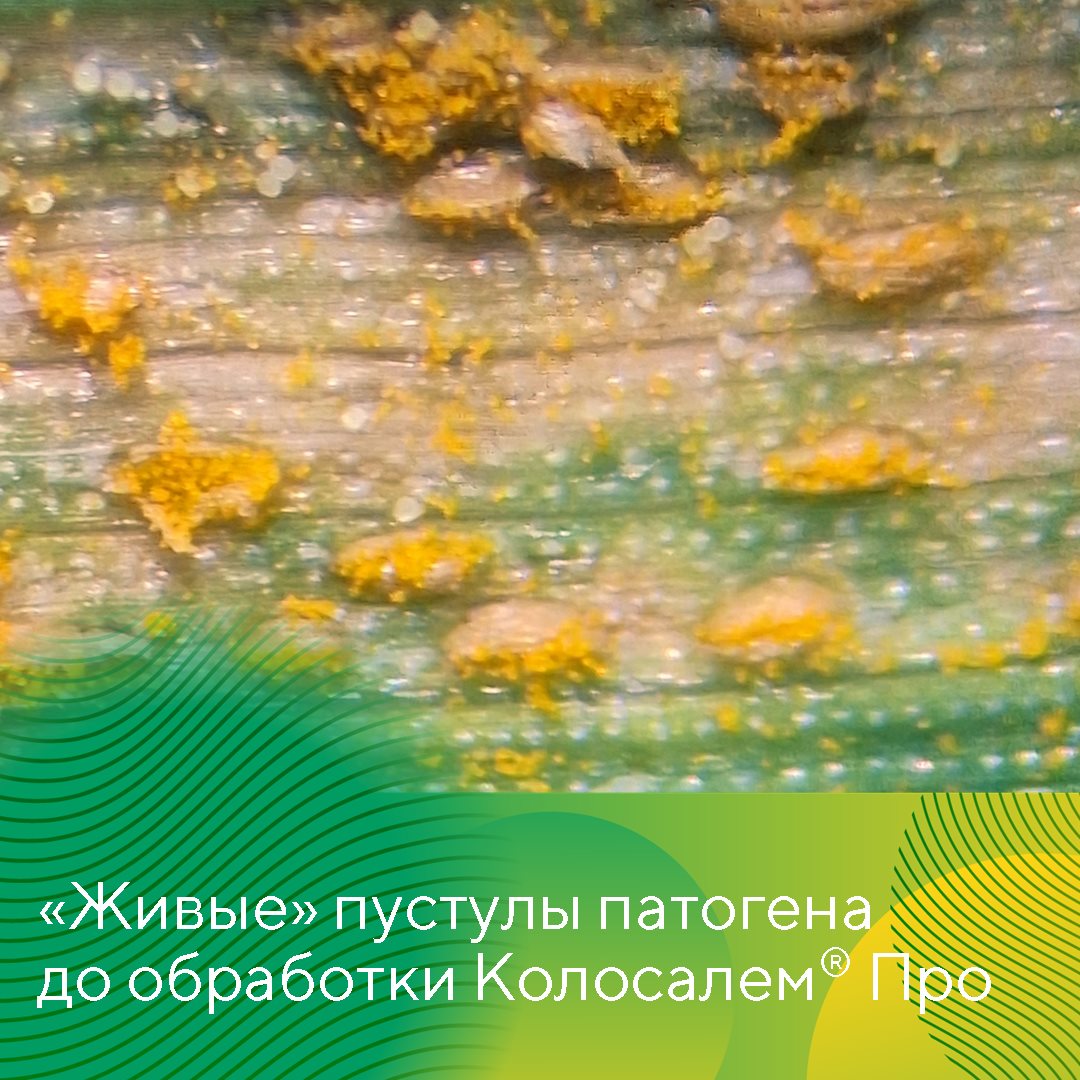 Пост 02.05.2025
