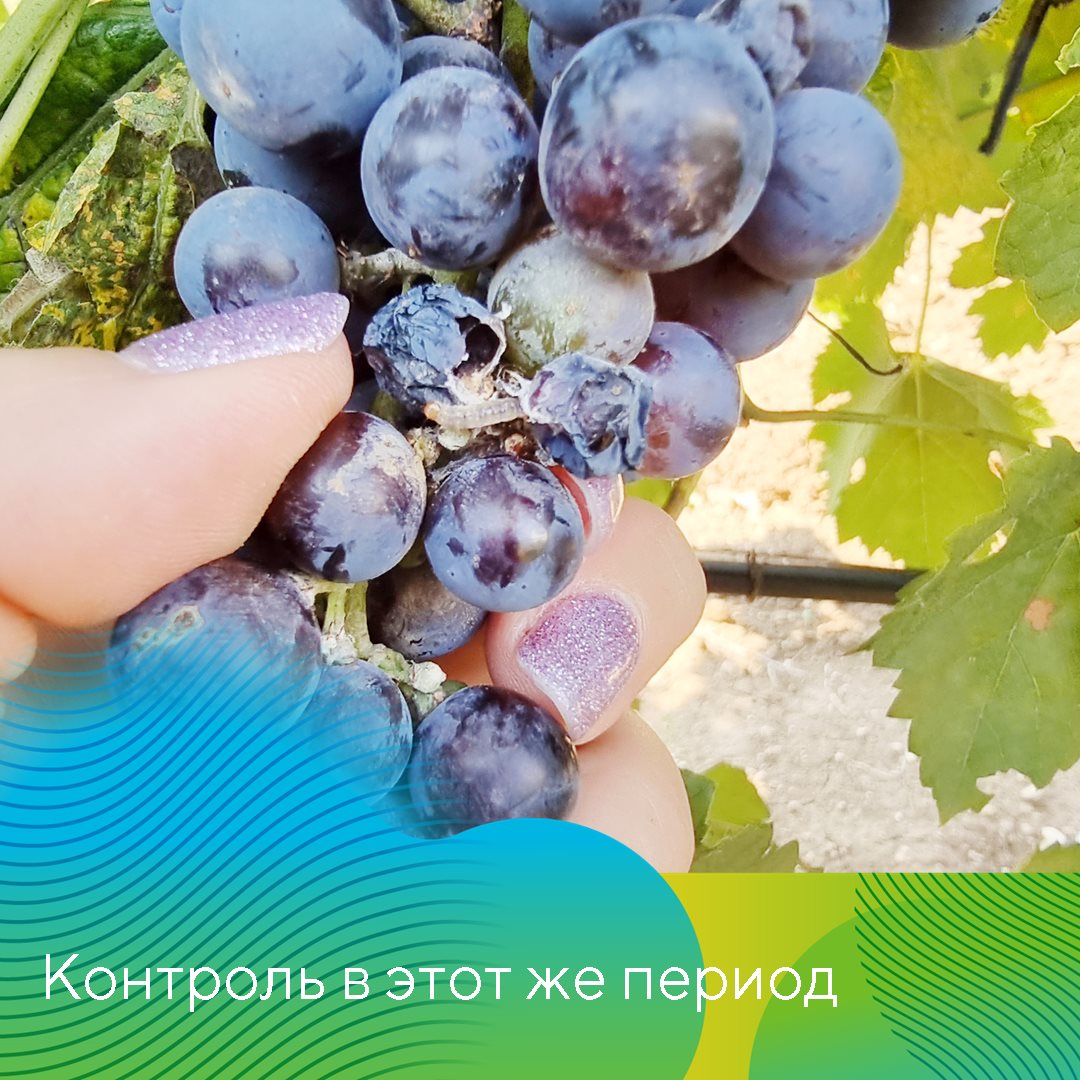 Пост 14.05.2025