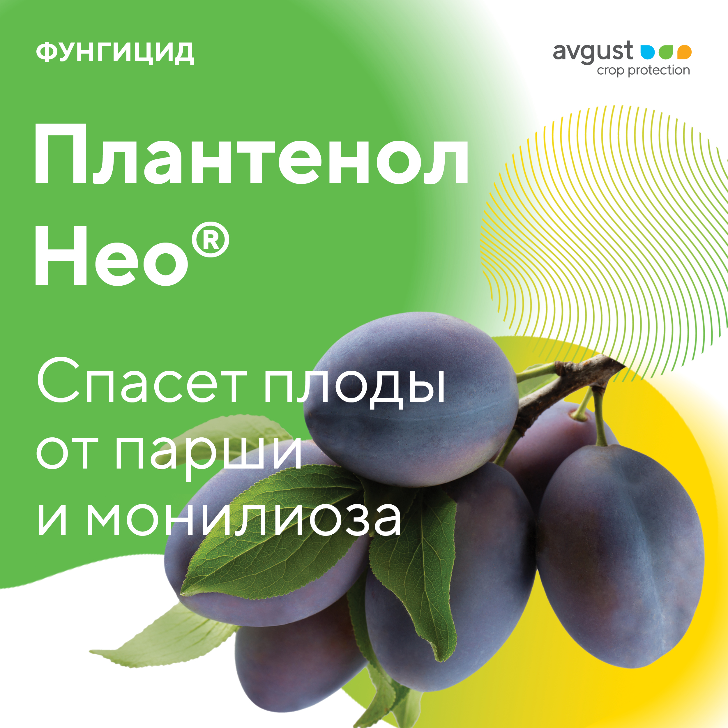 Плантенол