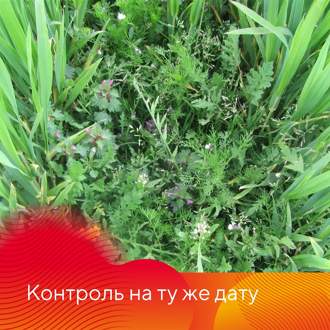 Пост 17.09.2025