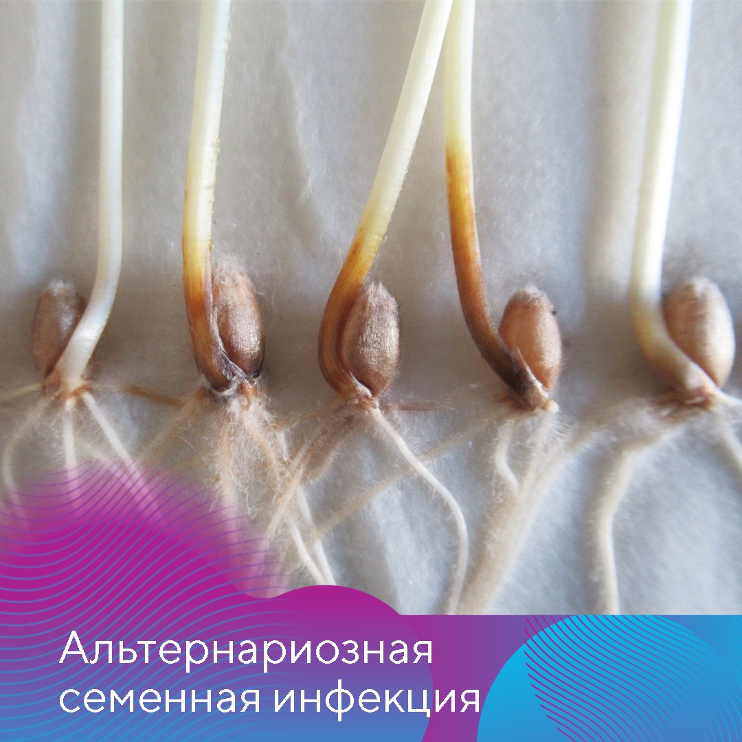 Пост 05.02.2025