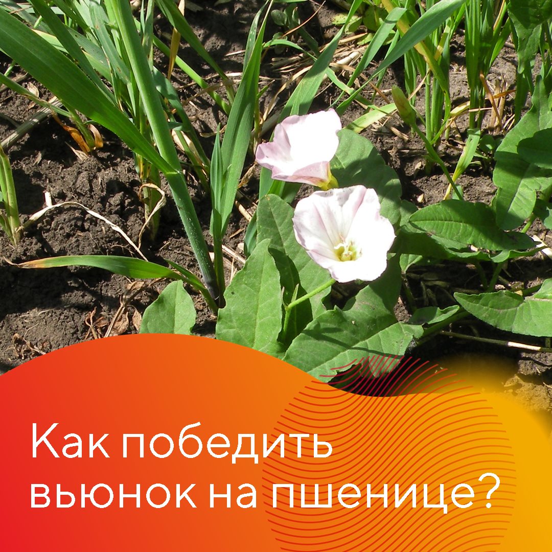 Пост 18.10.2024