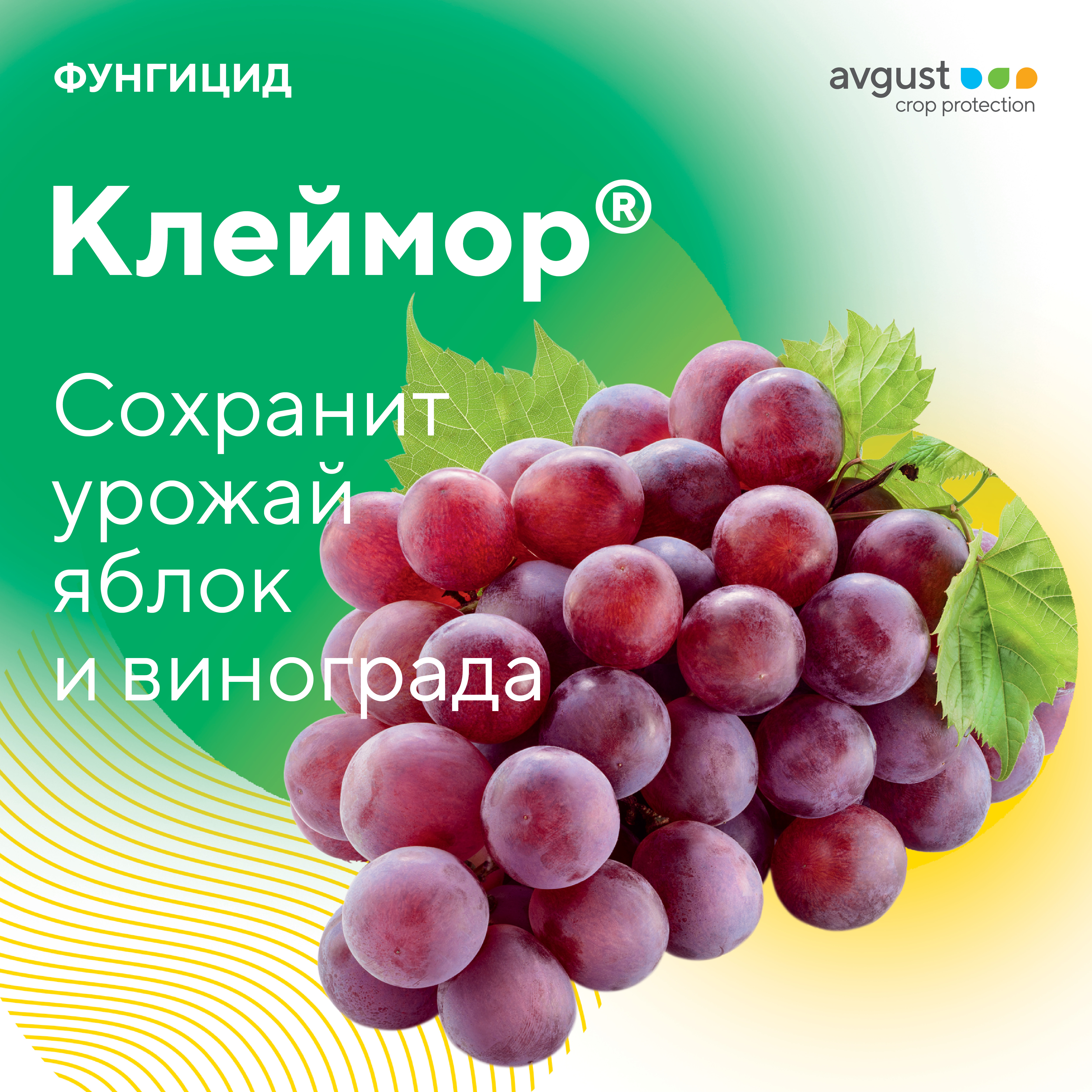Клеймор 2024