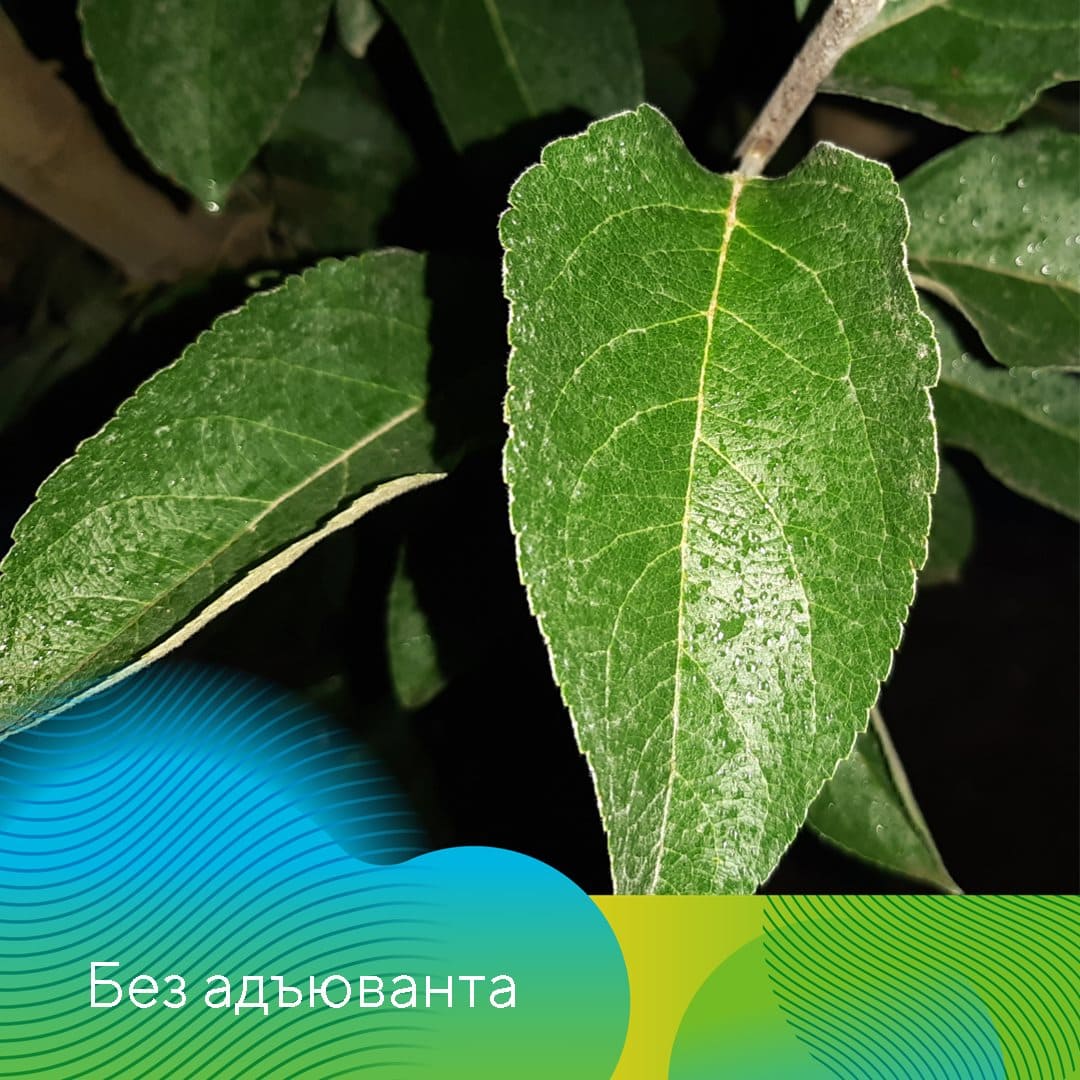 Адъювант Полифем® март 2023