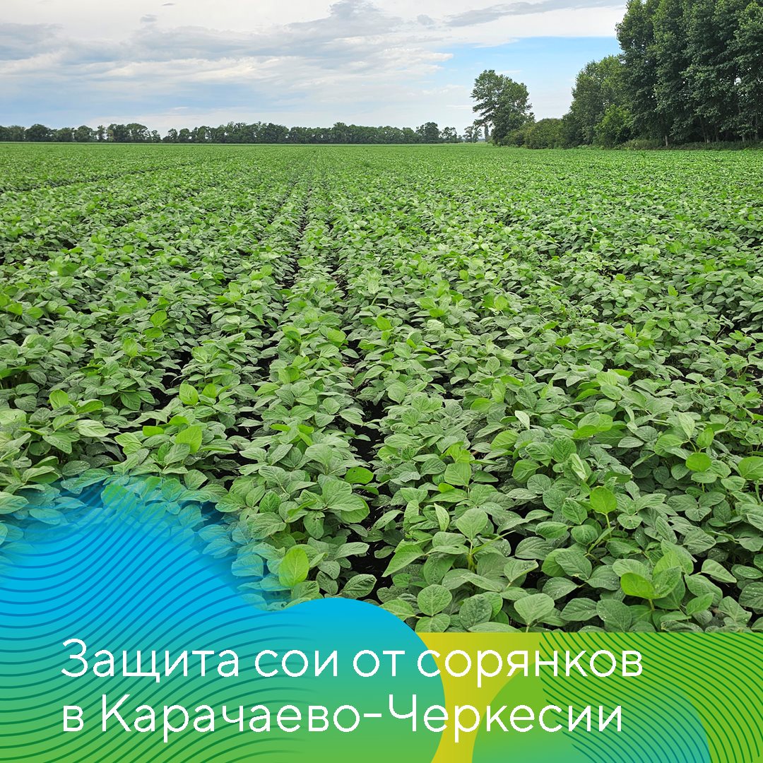 Пост 15.11.2024