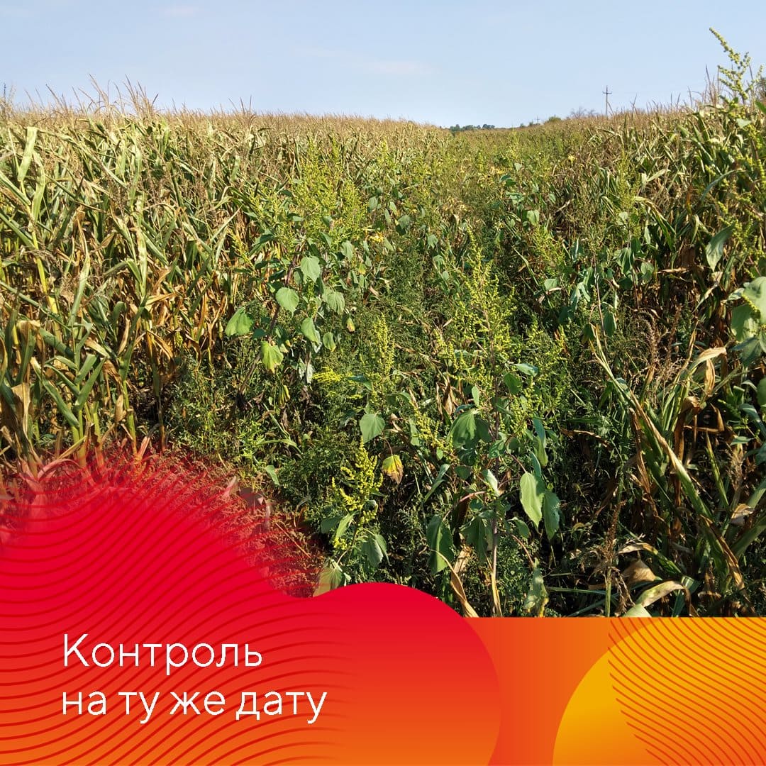 В 2022 г. в России Фултайм® применили на площади 150 тыс. га