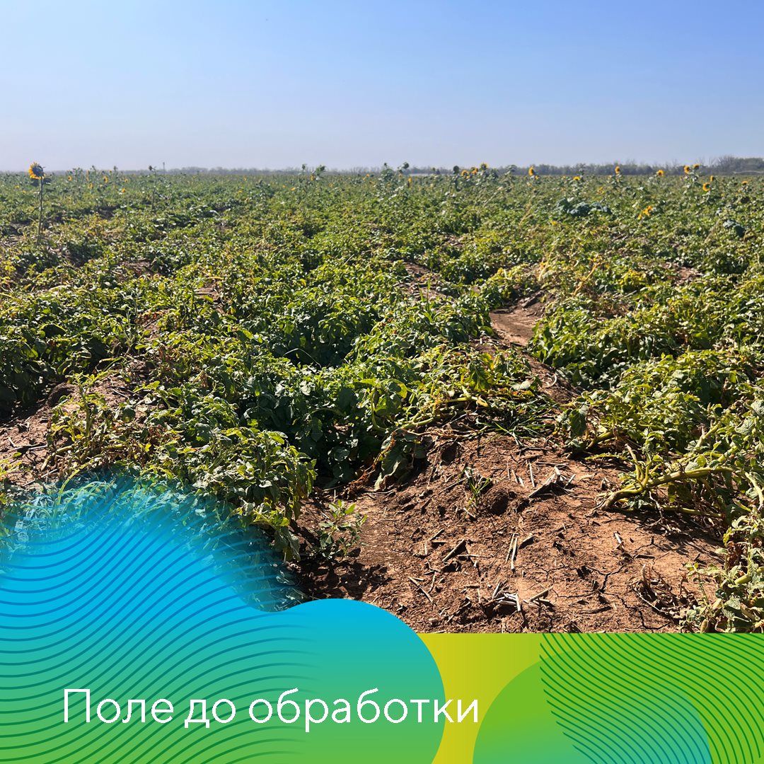 Пост 21.11.2024