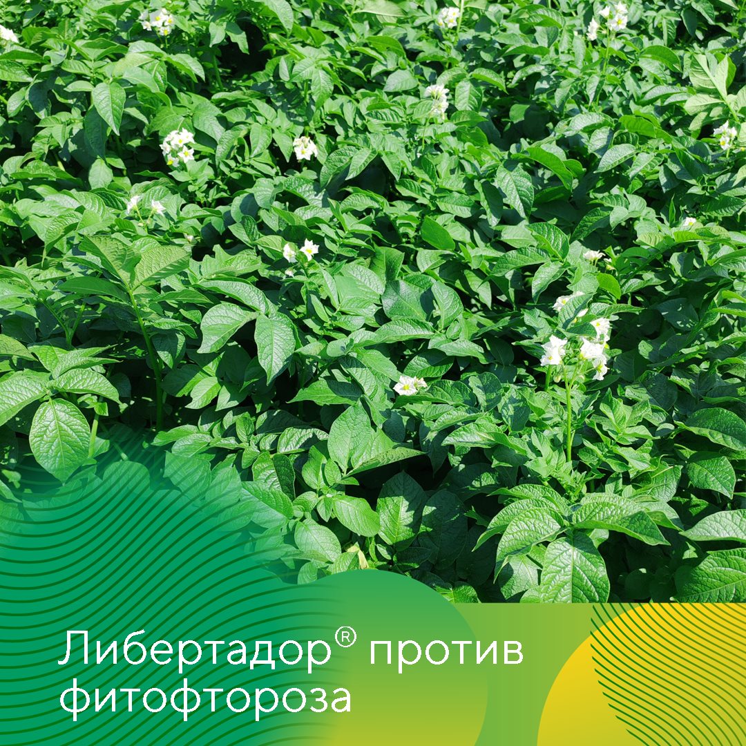 Пост 1.07.2026