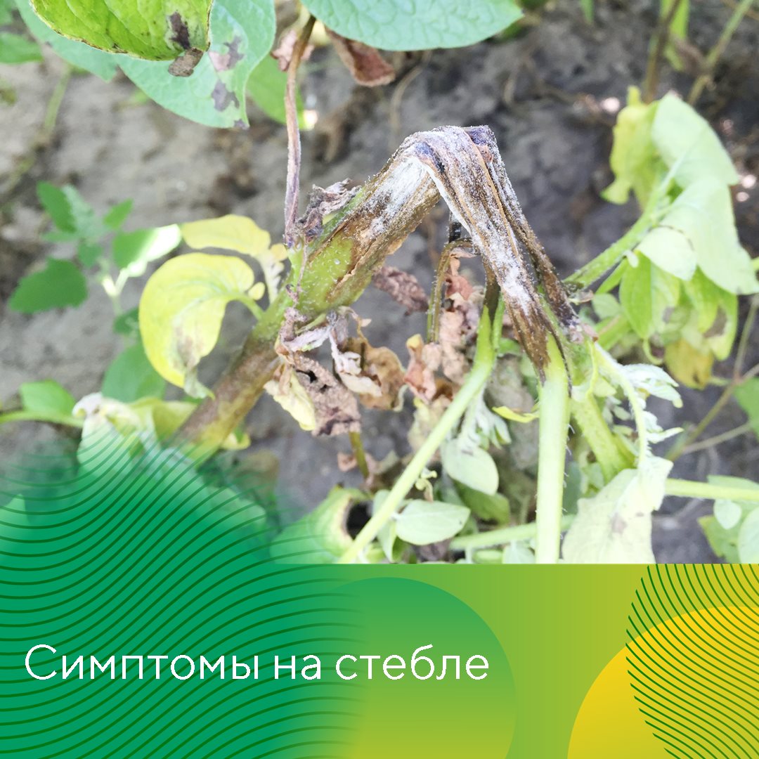 Пост 10.06.2025