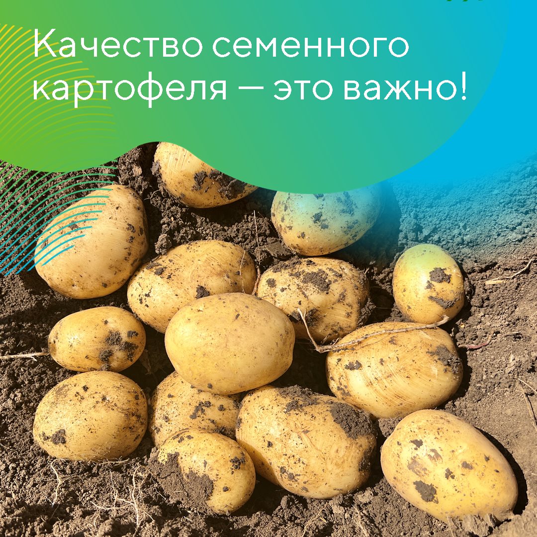 Екатерина Мурынкина 29.03