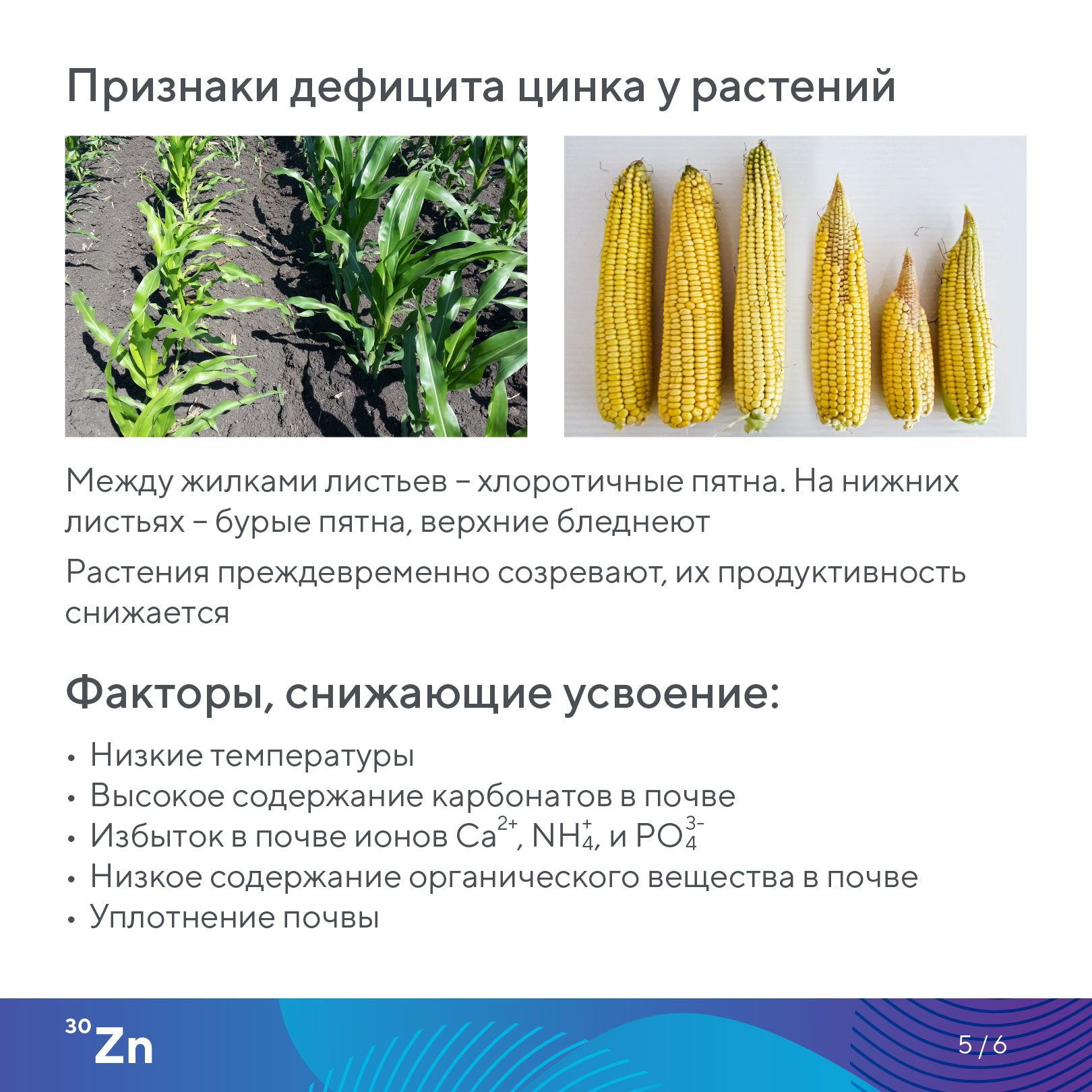 Пост 10.07.2026