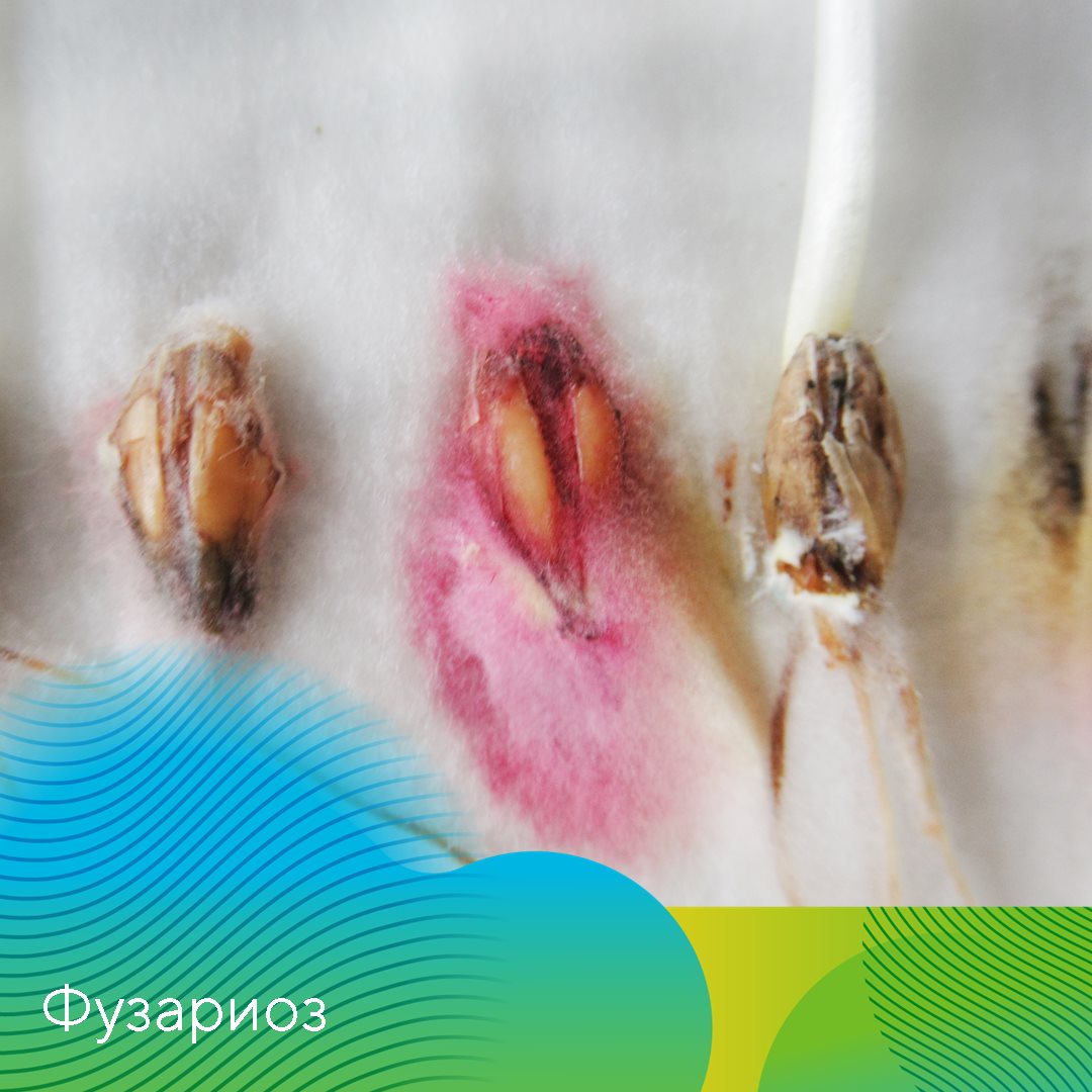 Пост 13.03.2025