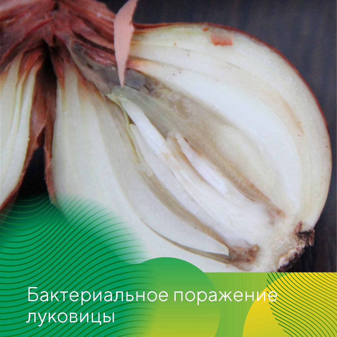 Пост 28.07.2026
