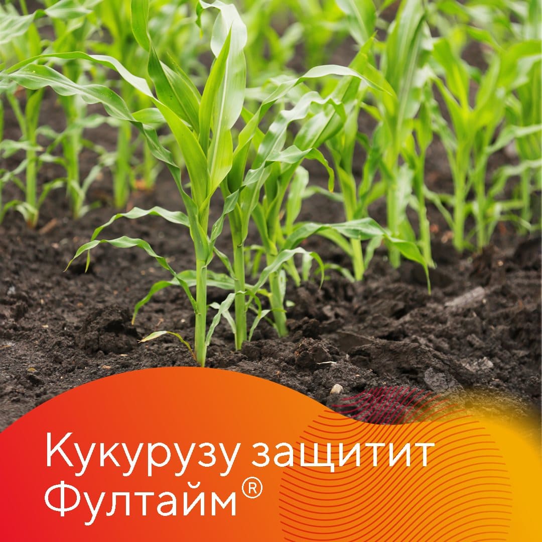 В 2022 г. в России Фултайм® применили на площади 150 тыс. га