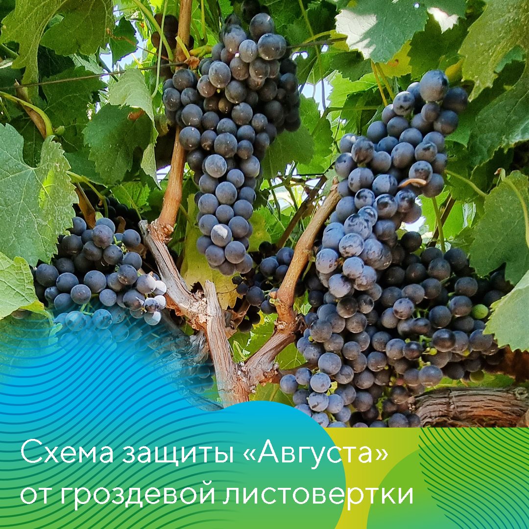 Пост 14.05.2025
