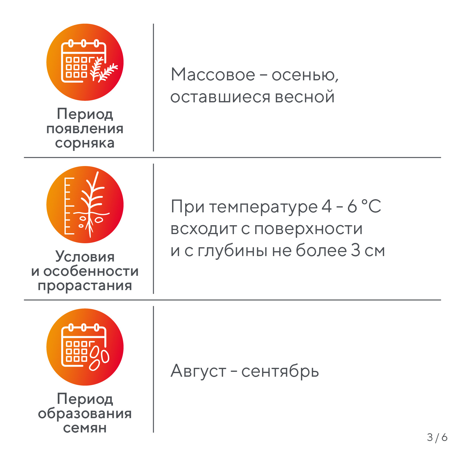 Пост 15.04.2026