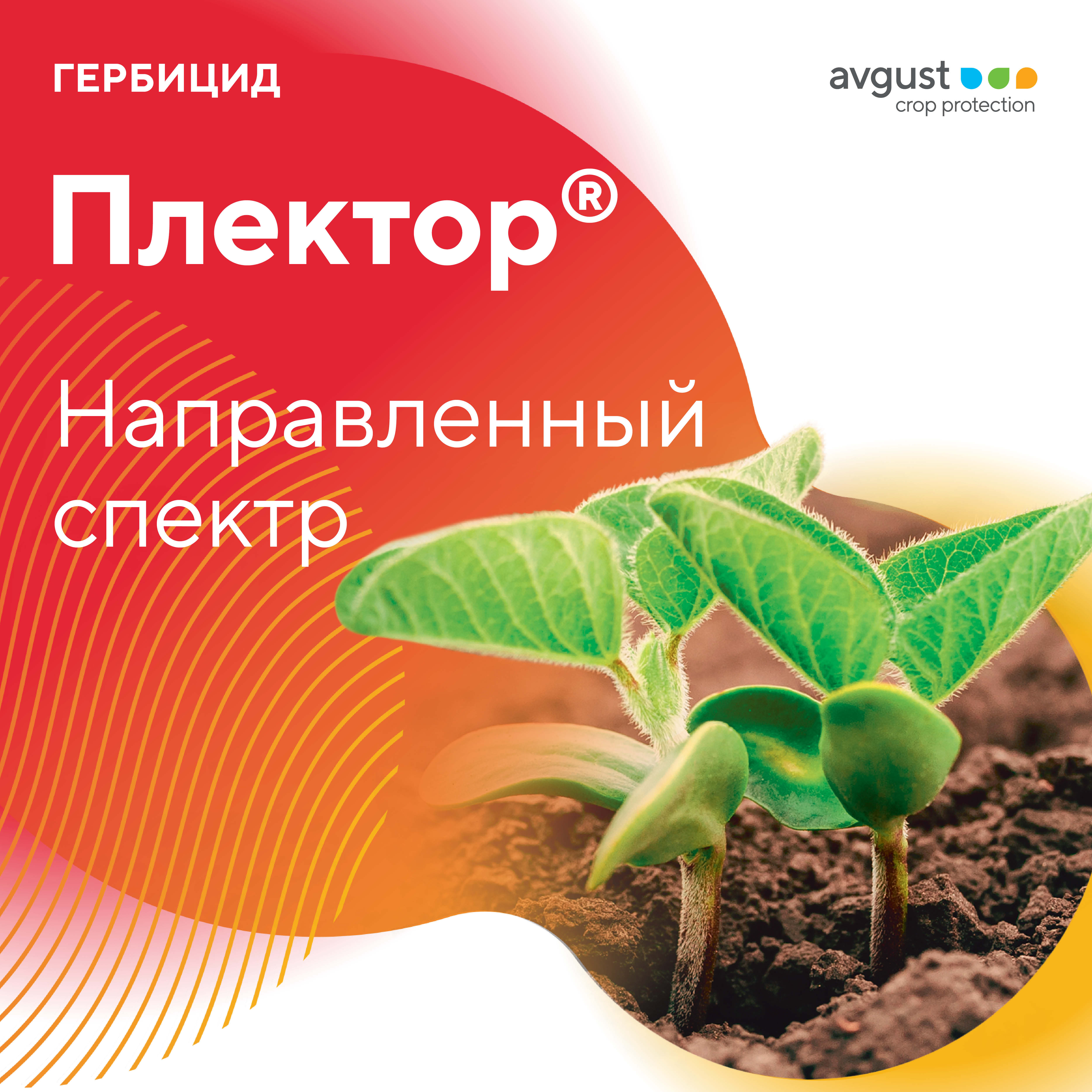 Плектор® – до- и послевсходовый системный гербицид