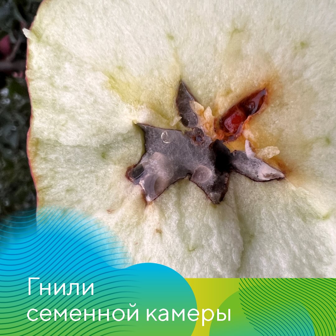 Пост 03.05.2024