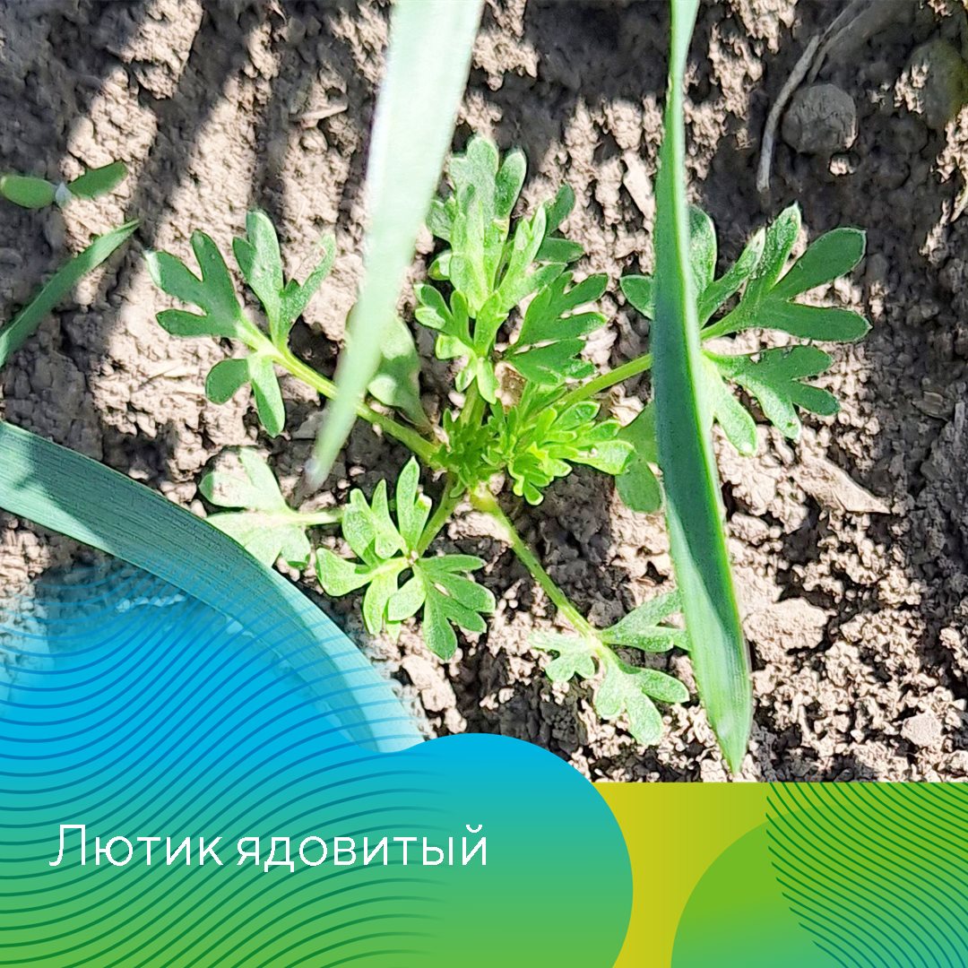 Пост 20.03.2025