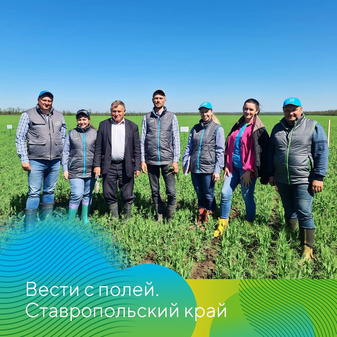 О системах защиты культур в СПК Колхоз «Терновский» 