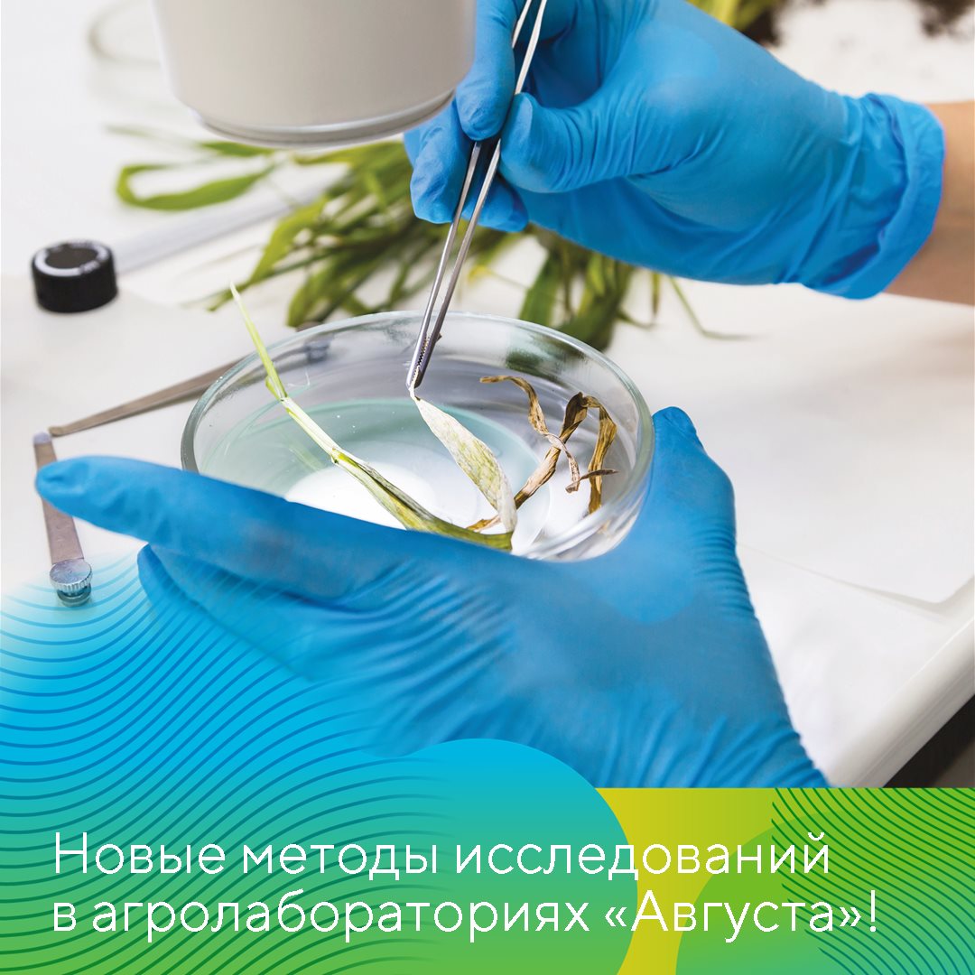 Пост 11:00:00