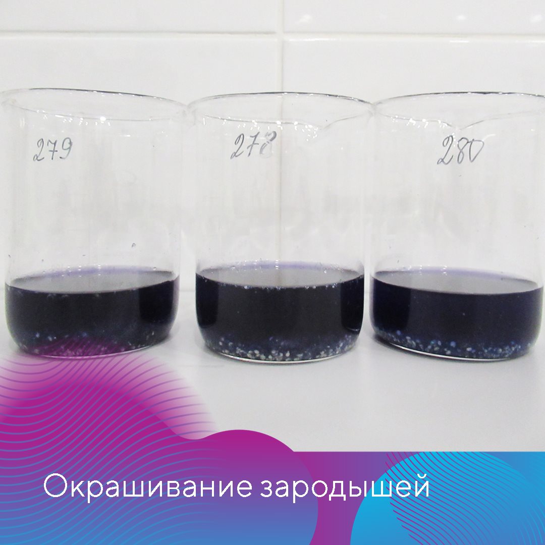 Пост 26.11.2024