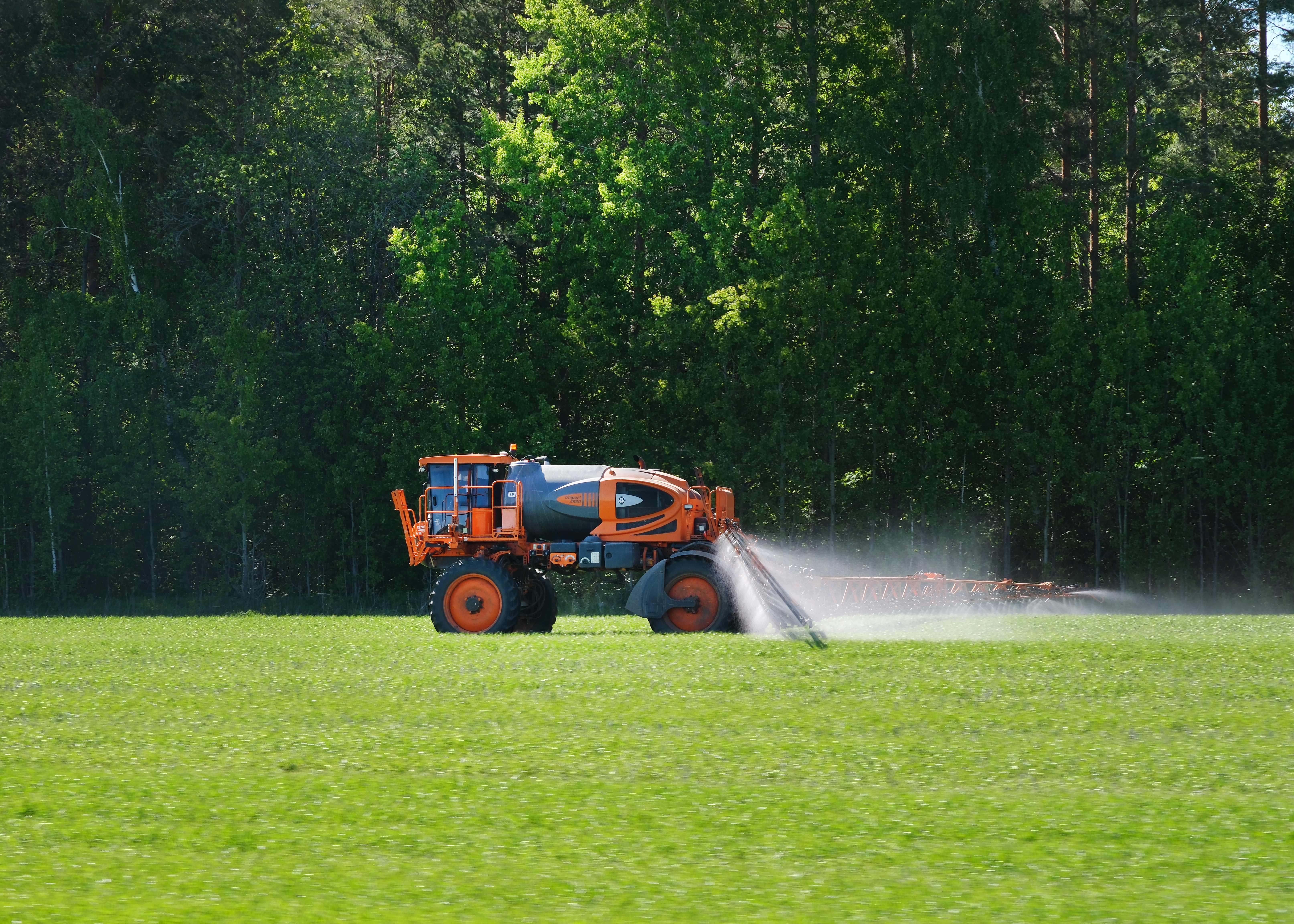 Тимирязевка 29.05