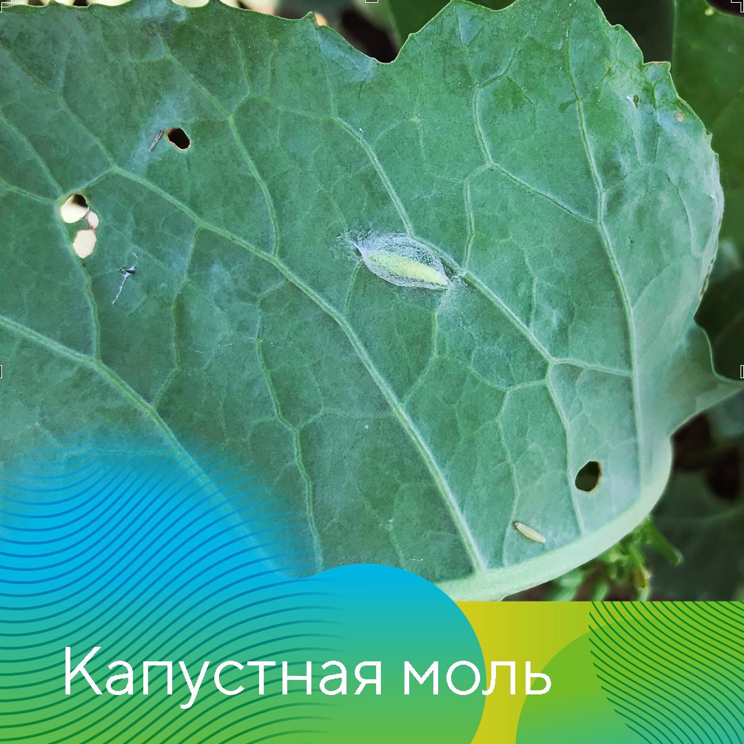 Главные проблемы сезона-2021 в Татарстане