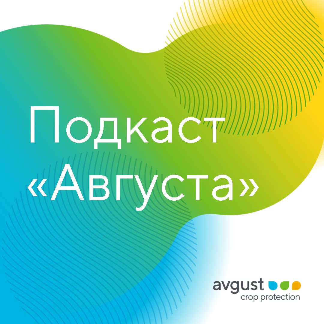 Пост 31.03.2025.1