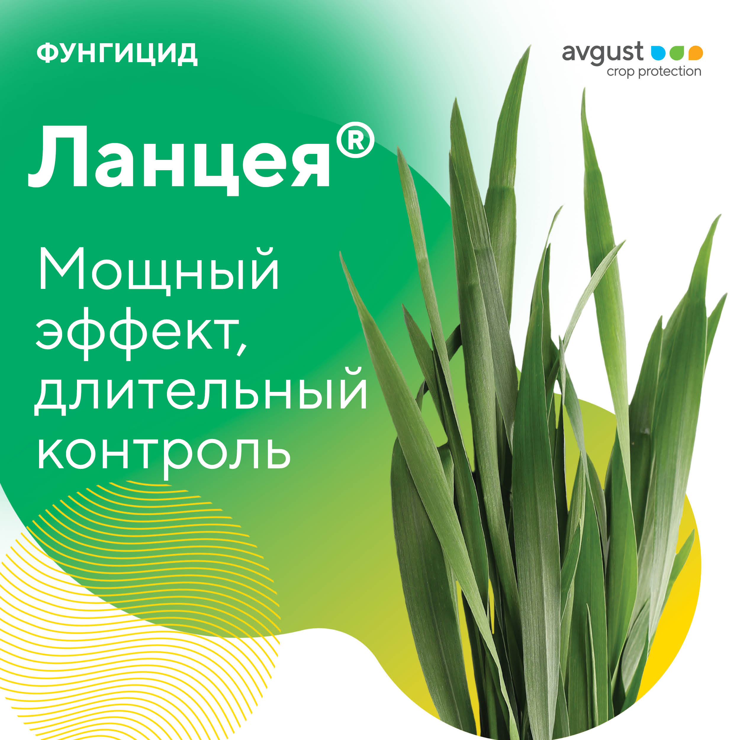 Пост 28.04.2025.01