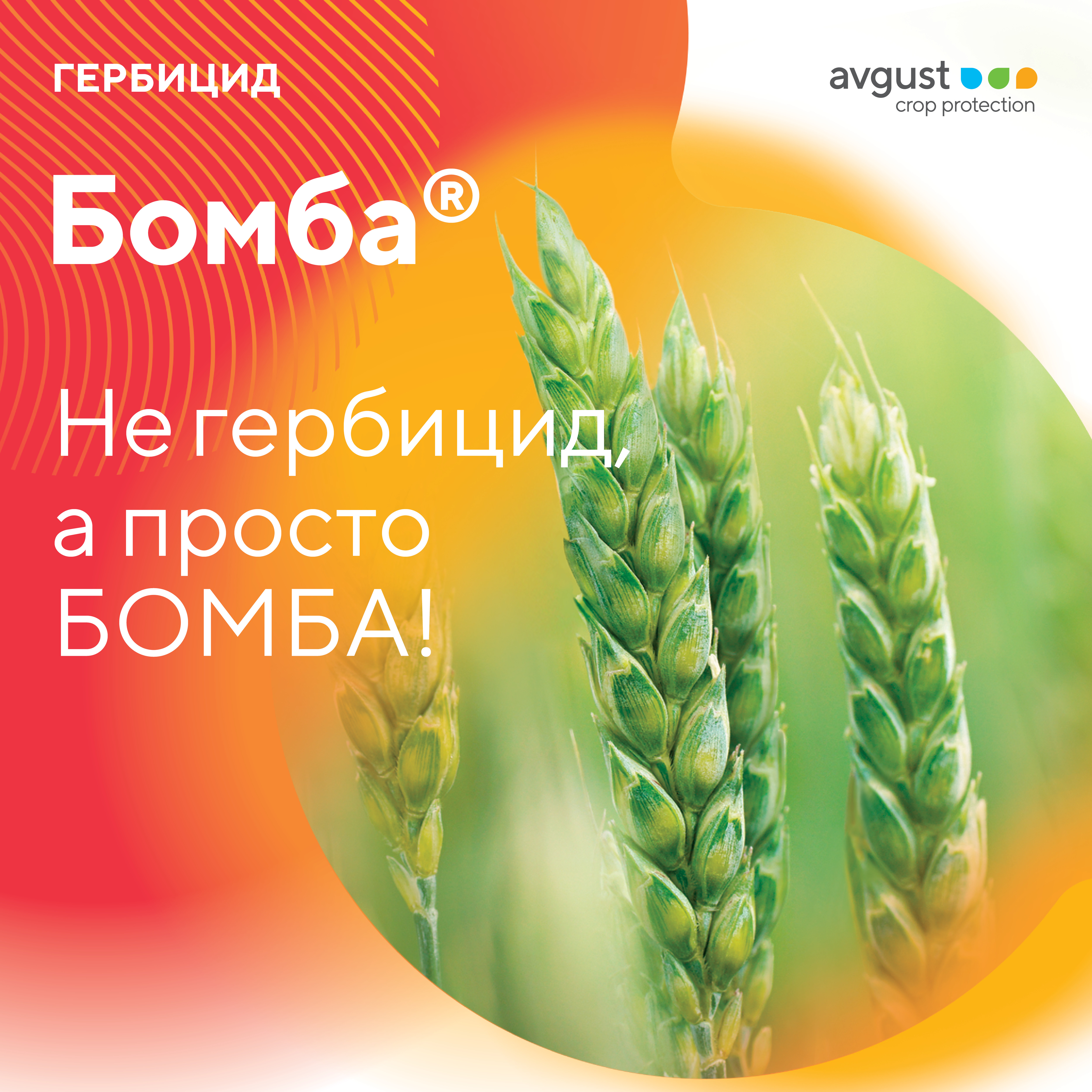 Бомба 10.09