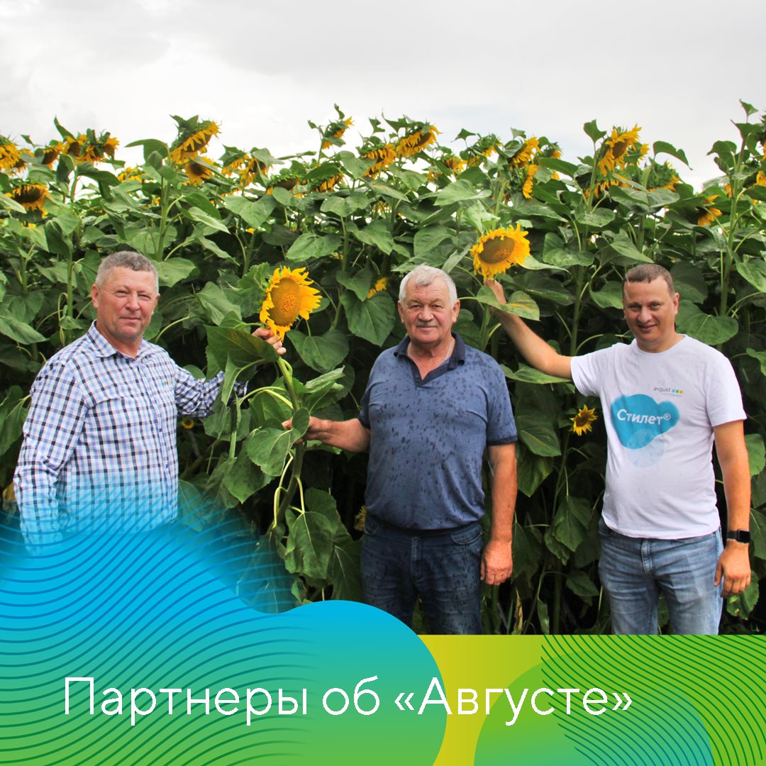 ГК(Ф)Х ИП Жданова 29.11