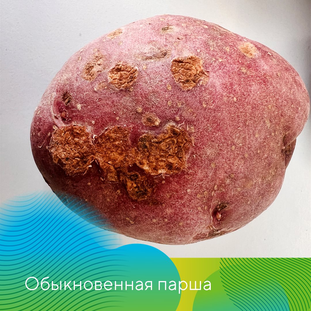 Екатерина Мурынкина 29.03