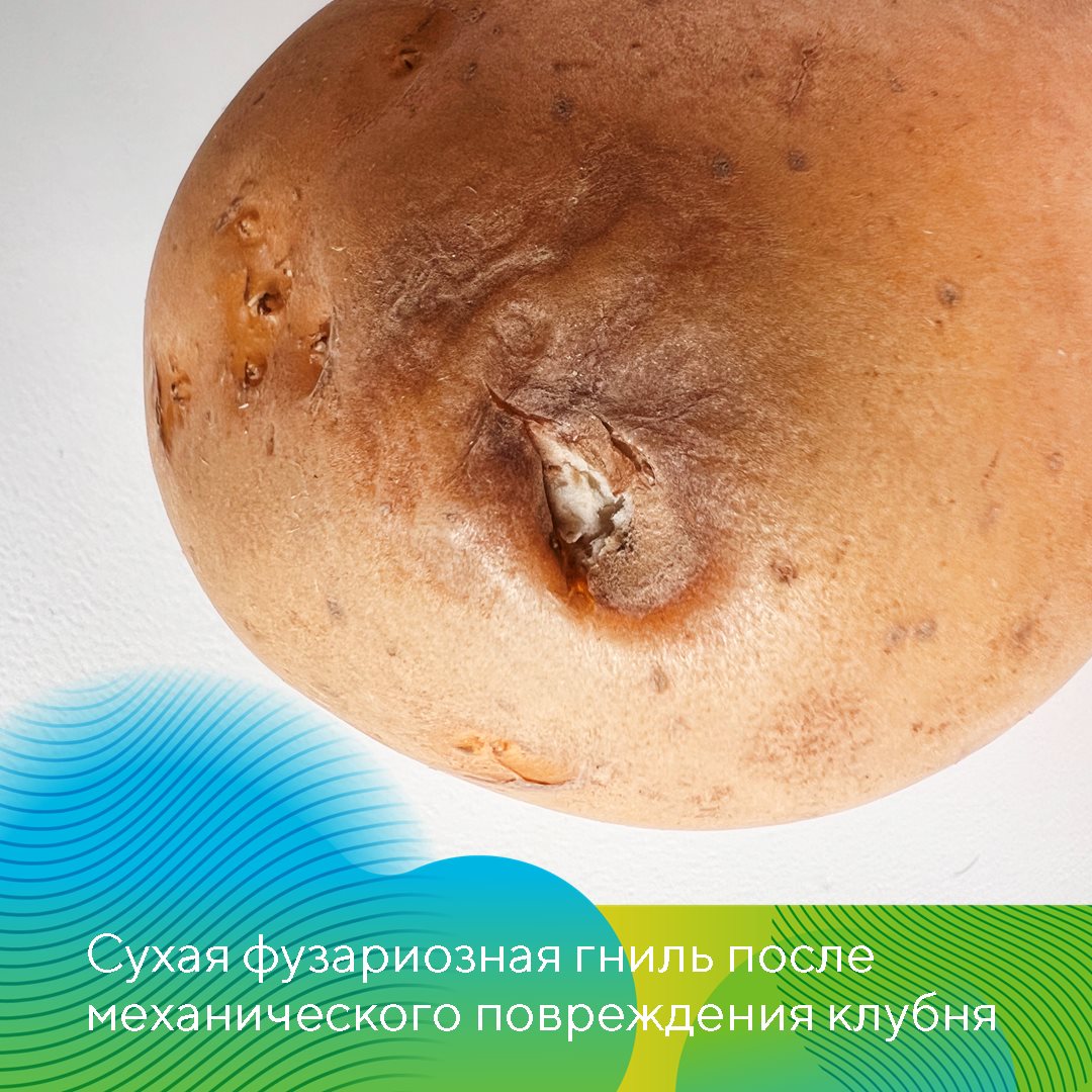 Екатерина Мурынкина 29.03