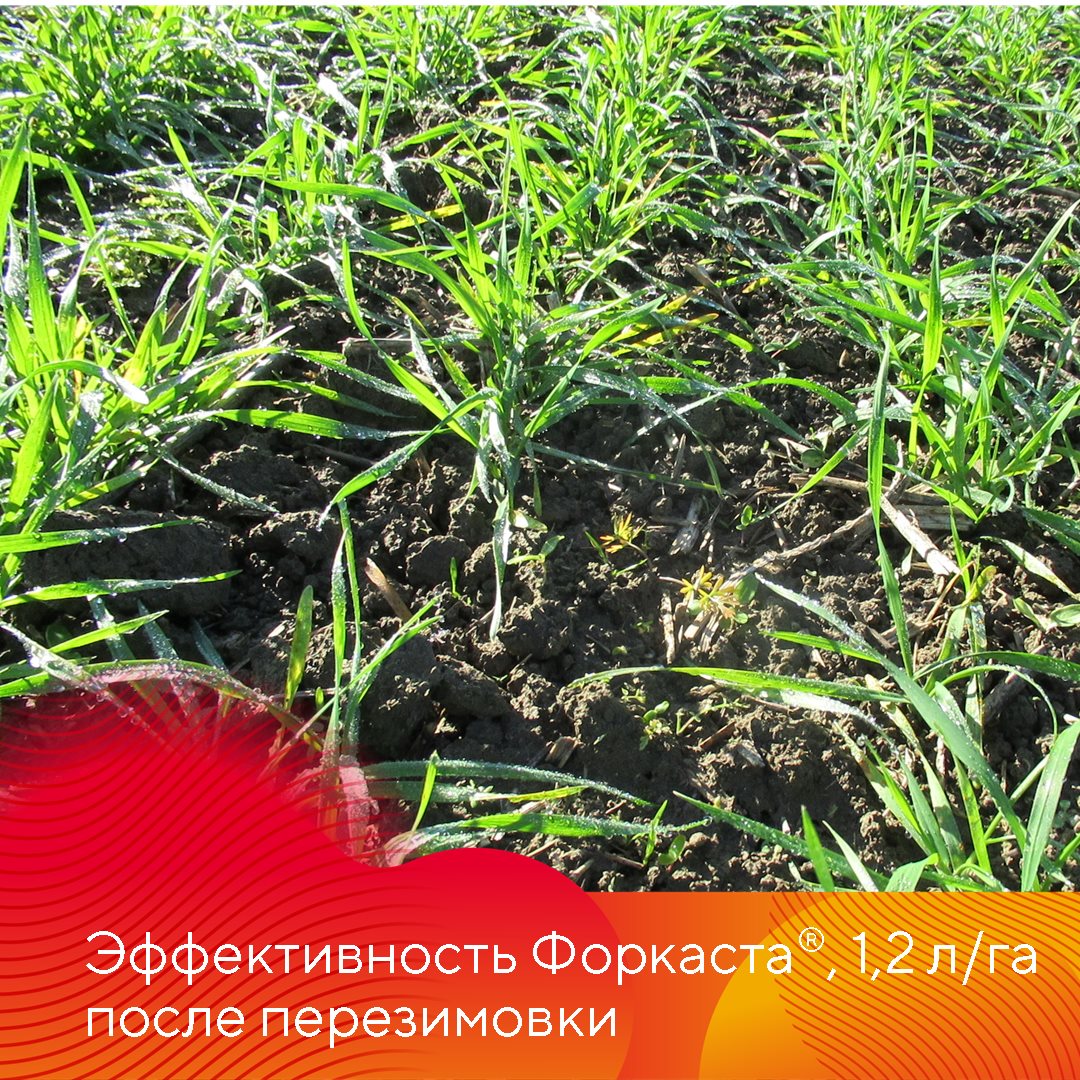 Пост 17.09.2025