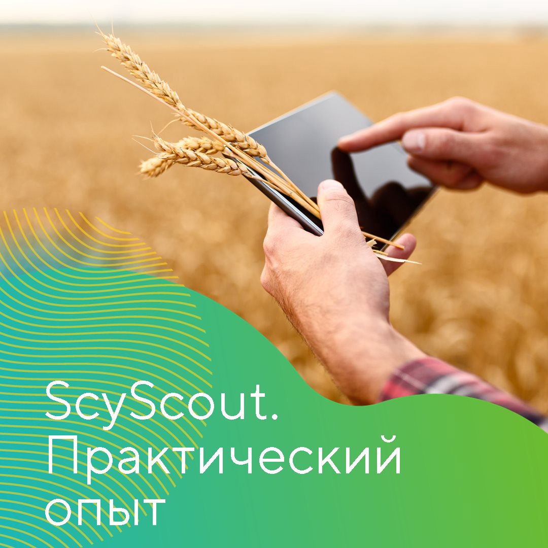 SkyScout. Практический опыт