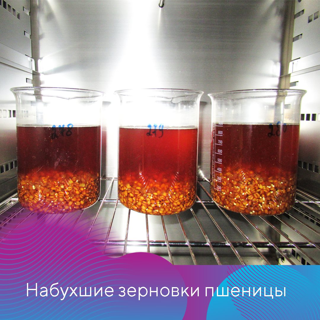 Пост 26.11.2024