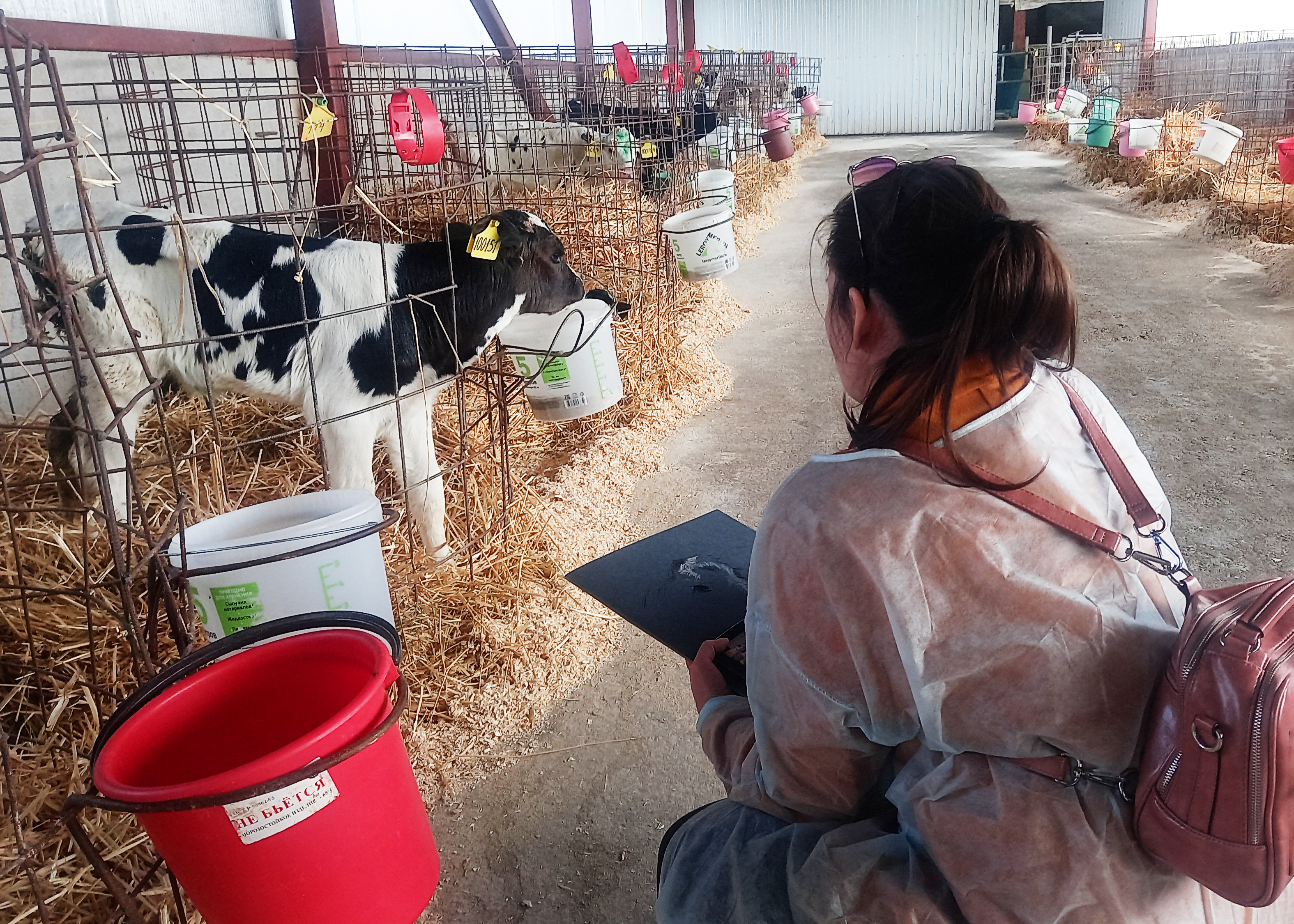 Уразметьево плэнер