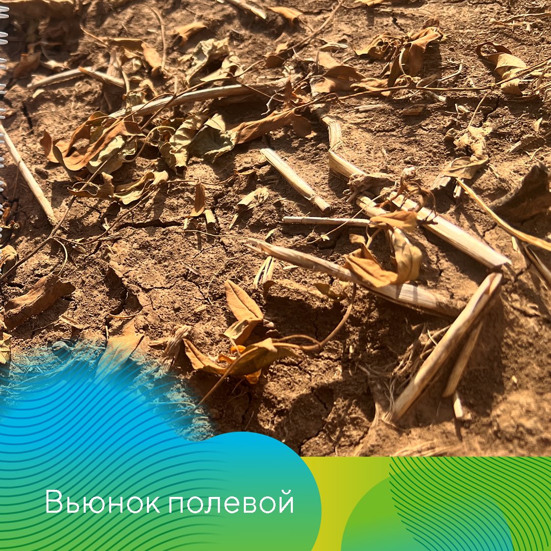 Пост 21.11.2024