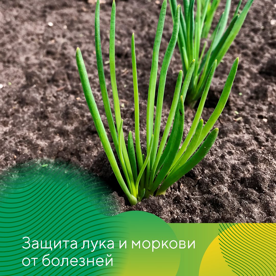 Пост 28.07.2026