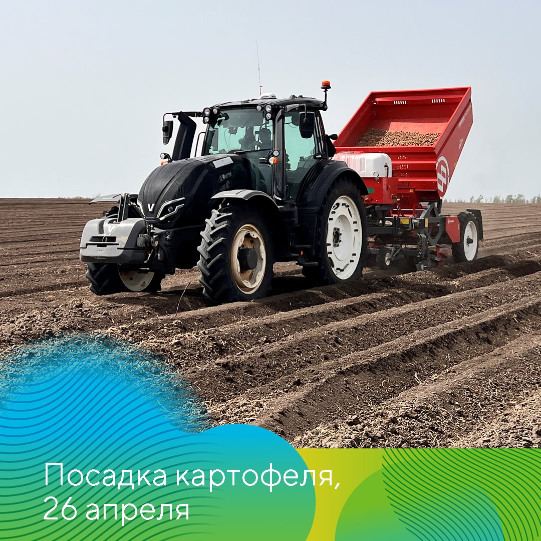 Пост 05.11.2024