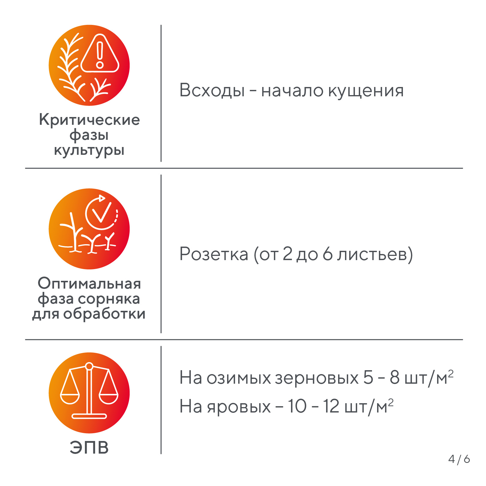 Пост 15.04.2026
