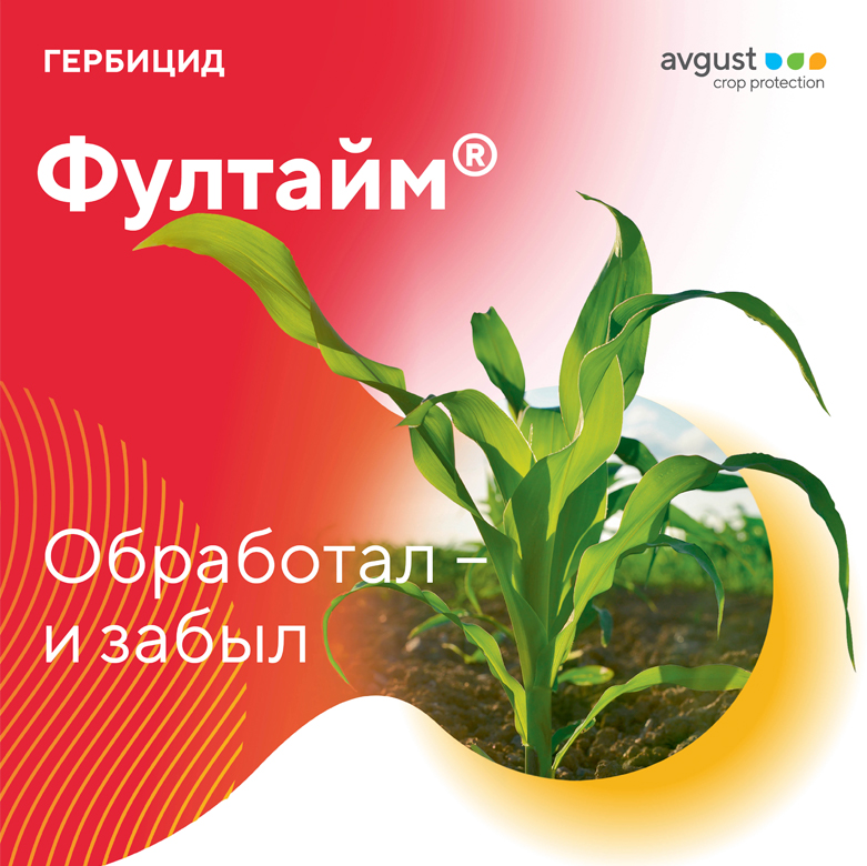 Пост 11.05.2026