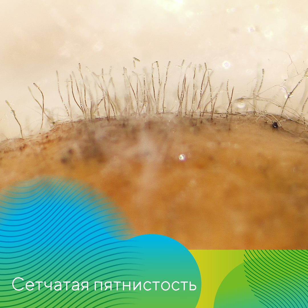 Пост 13.03.2025