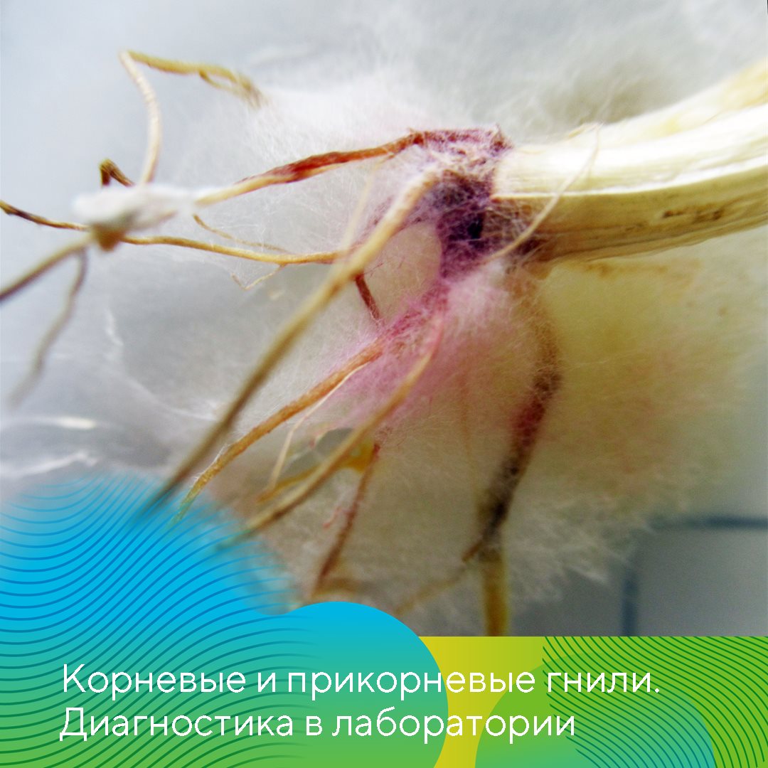 Пост 9.04.2026