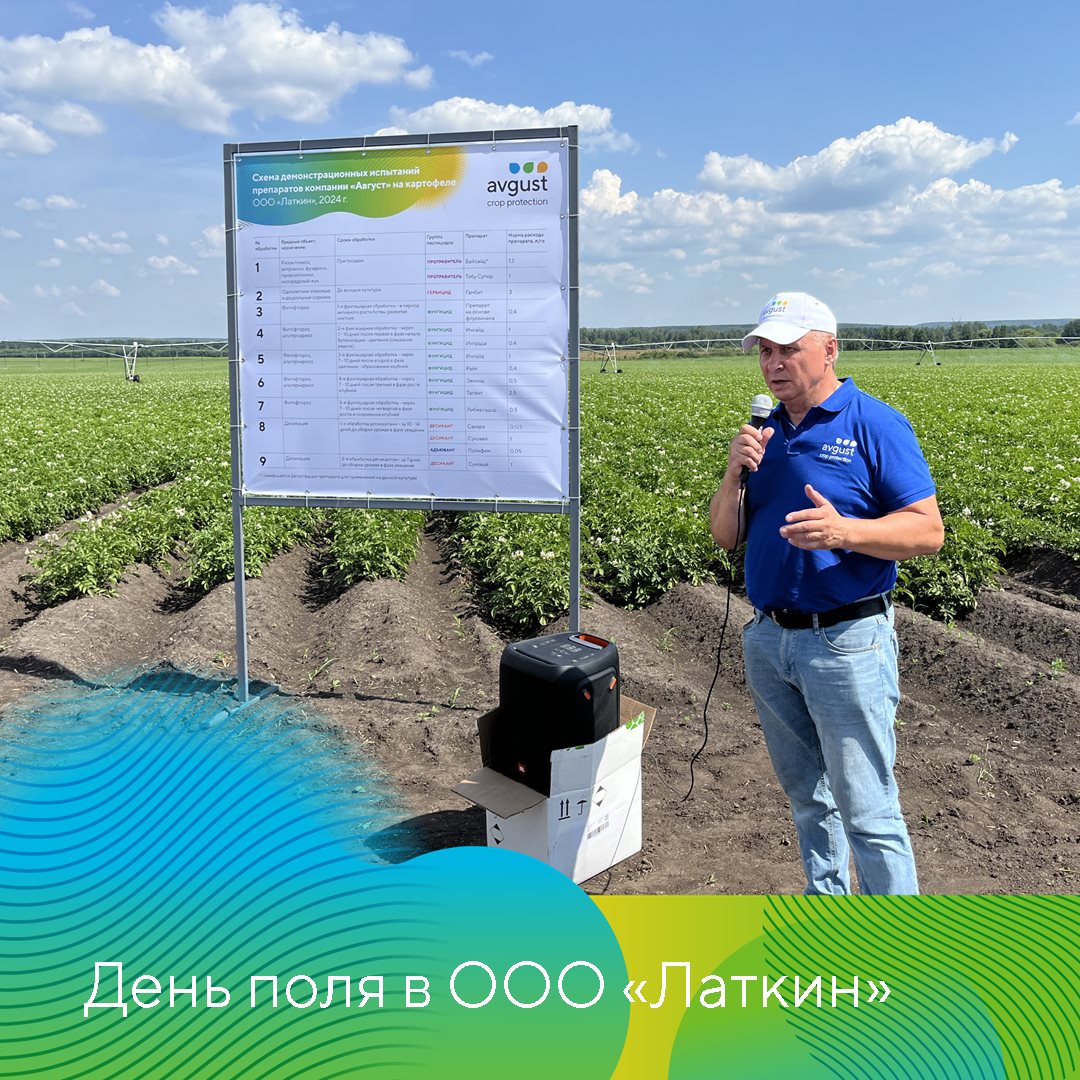 Пост 24.10.2024