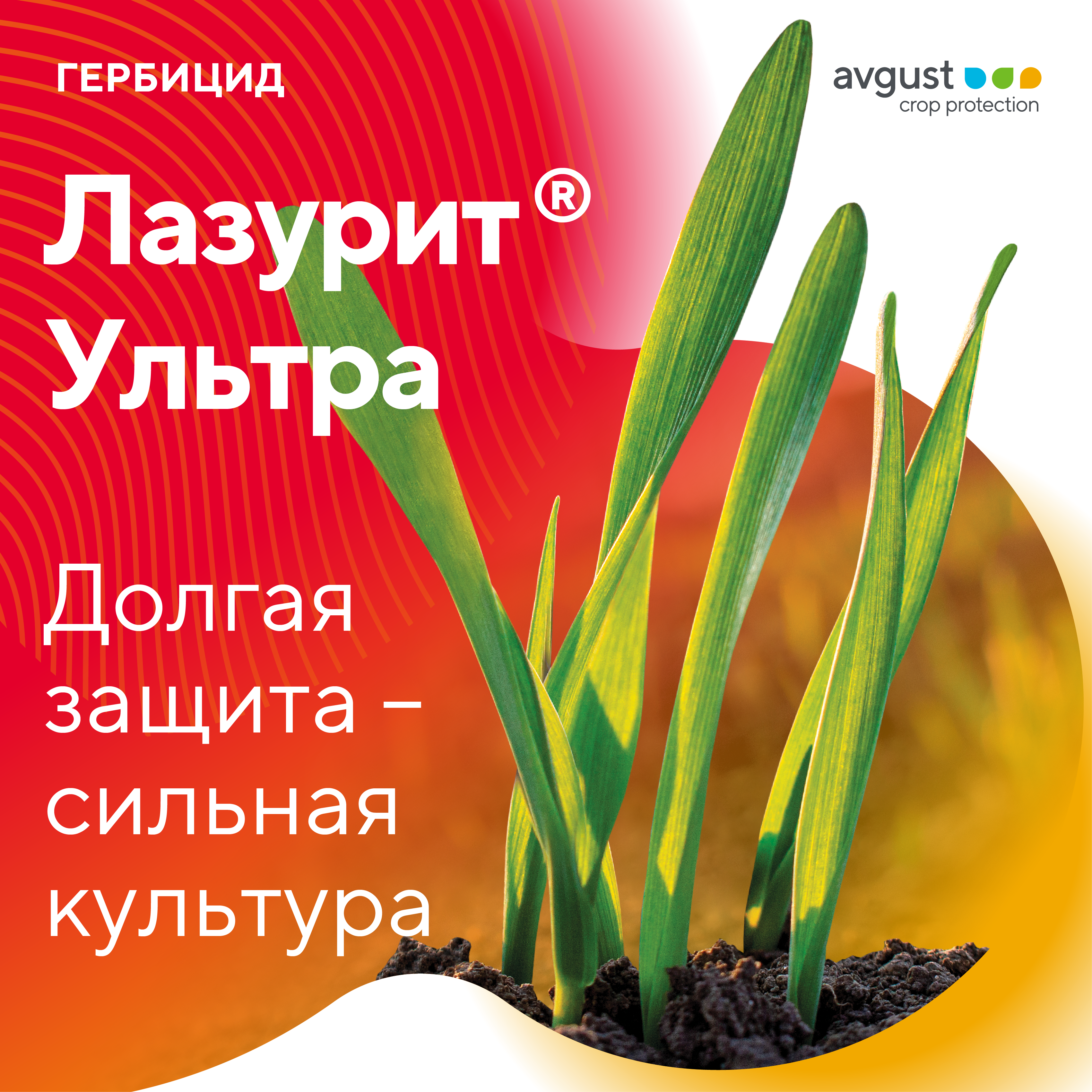 Пост 9.09.2026