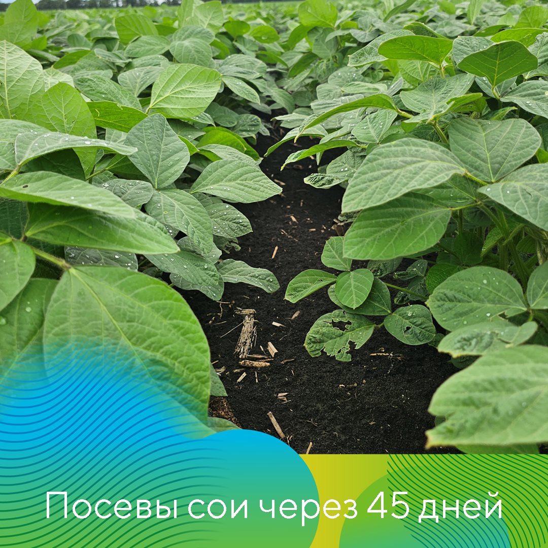 Пост 15.11.2024