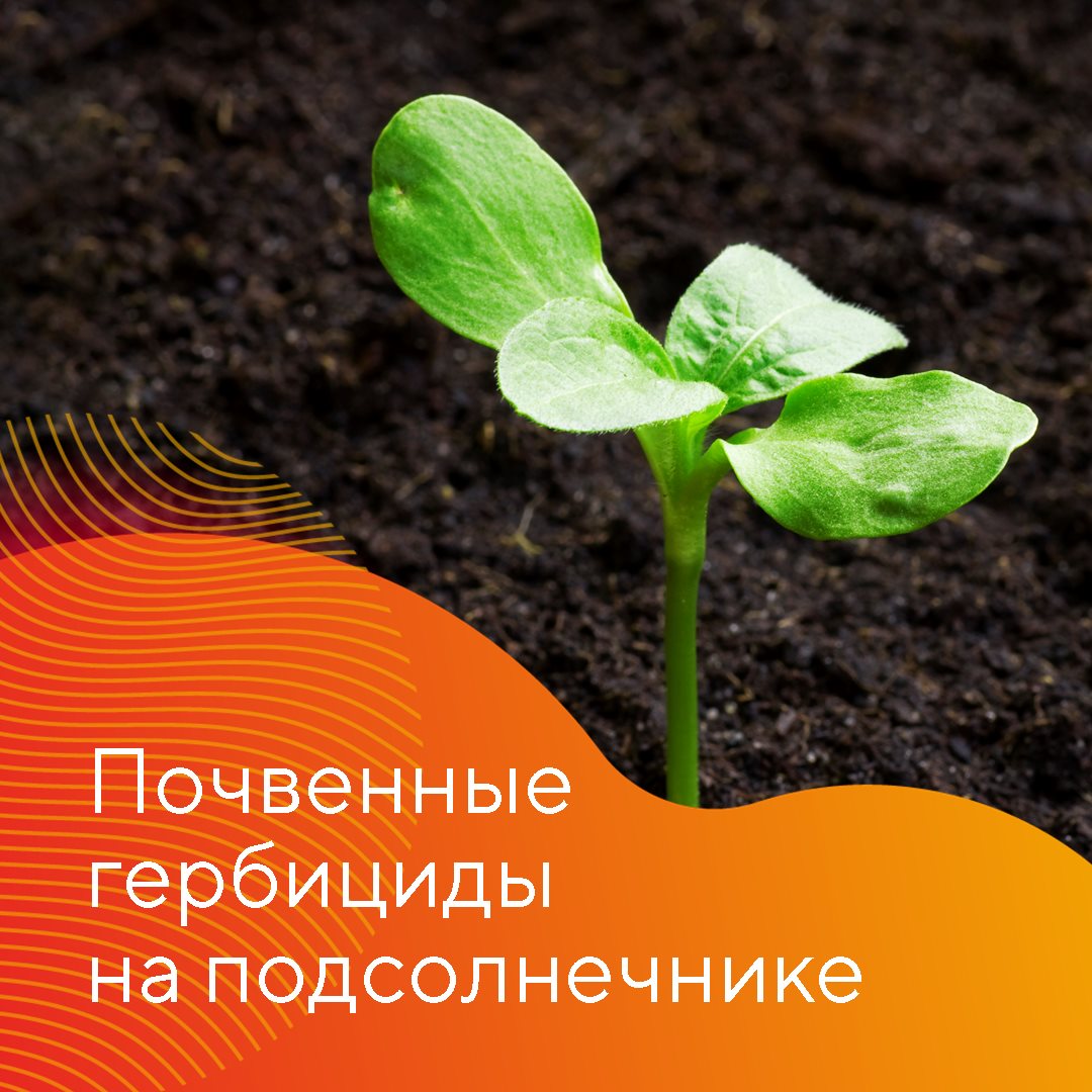 Ринат Баторшин, специалист отдела развития продуктов