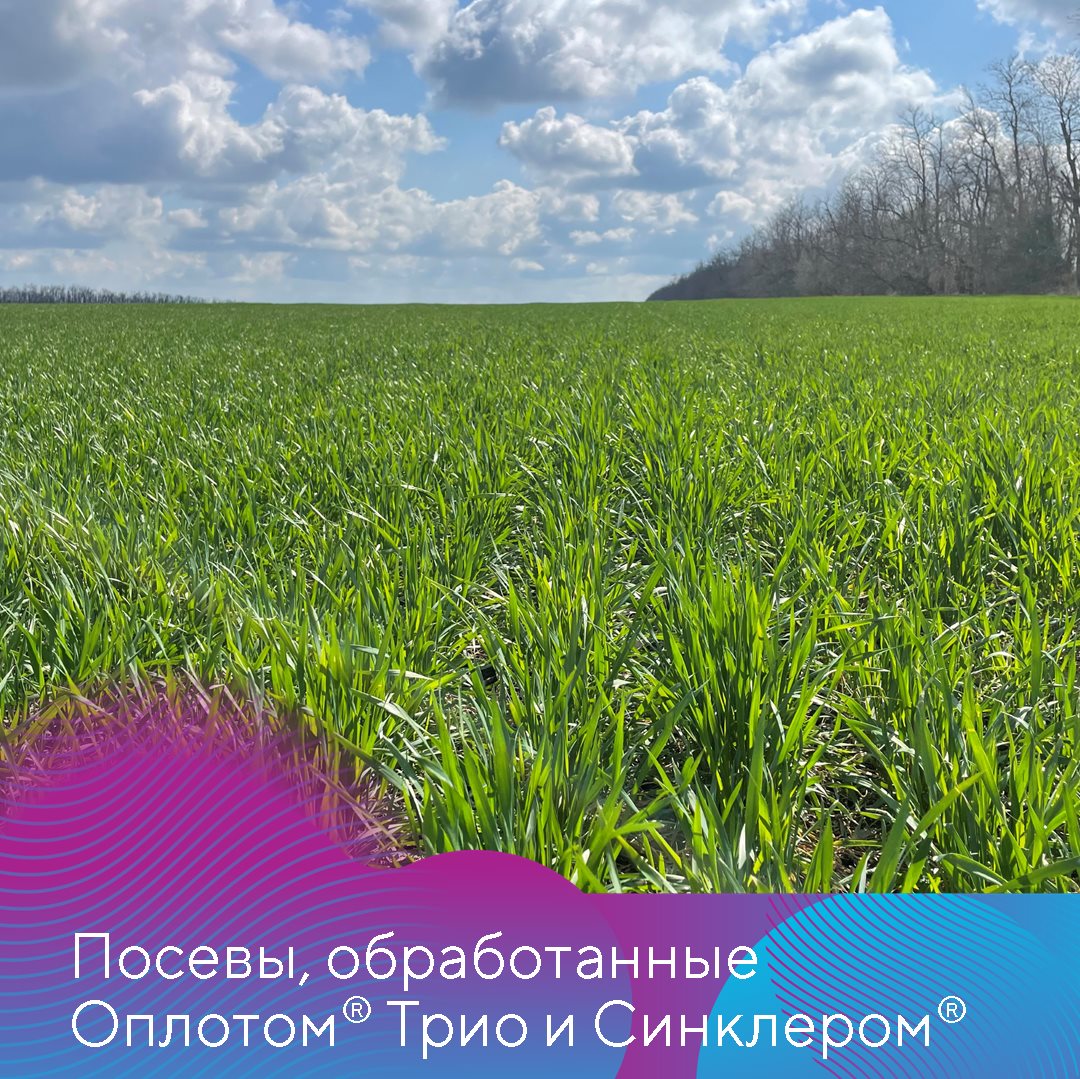 Пост 20.08.2025
